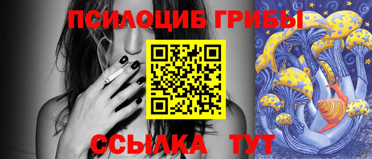 Галлюциногенные грибы Psilocybine cubensis  Вход с VPN  Тавда  Галлюциногенные грибы мухоморы 